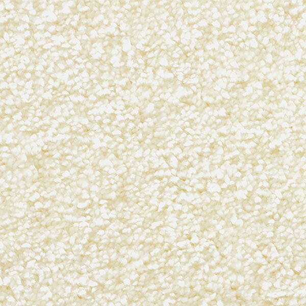 楽天インテリアカタオカ【送料無料】ラグマット Prevell CARPET COLLECTION 2024-2025 Autumn/Winter ジェイド［テープ加工］/2201 約190x240cm 04エクリュ