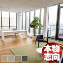 最高級 オーダー ラグ マット 絨毯 カーペット ニューフリーダム ツイストウール フォーパブリック ヨコ300×タテ240cm迄