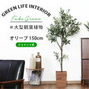 \P10倍☆8/1限定/【送料無料_b】人工 観葉植物 大型 フェイクグリーン インテリア 造花 オリーブ 150cm ジョイント