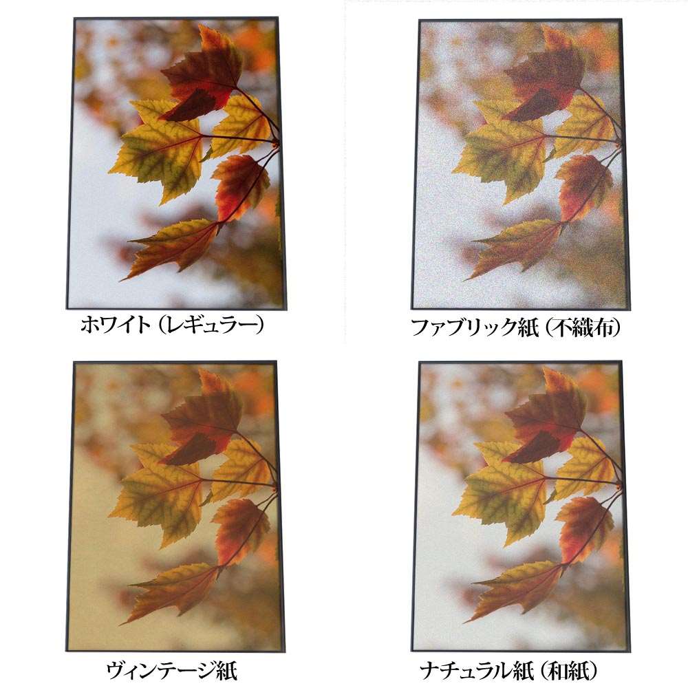 秋色 オータム 紅葉 葉っぱ センチメンタル ポスター 【用紙×サイズ×デザイン】 ポスター 景色 名所 オレンジ 赤 哀愁【an-poster-1053】 3