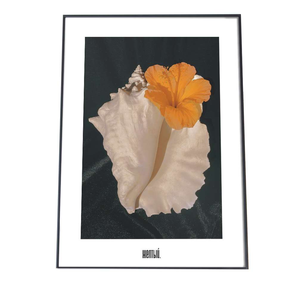 アートプリント ポスター インテリア おしゃれ 西海岸 貝殻 ヨーロッパ 北欧 ボタニカル ハイビスカス 花 白 グリーン カフェ レトロ ヴィンテージ レッド a0 a1 a2 a3 a4 b0 b1 b2 b3 b4 特大 小さい 縦【fg-poster-100】