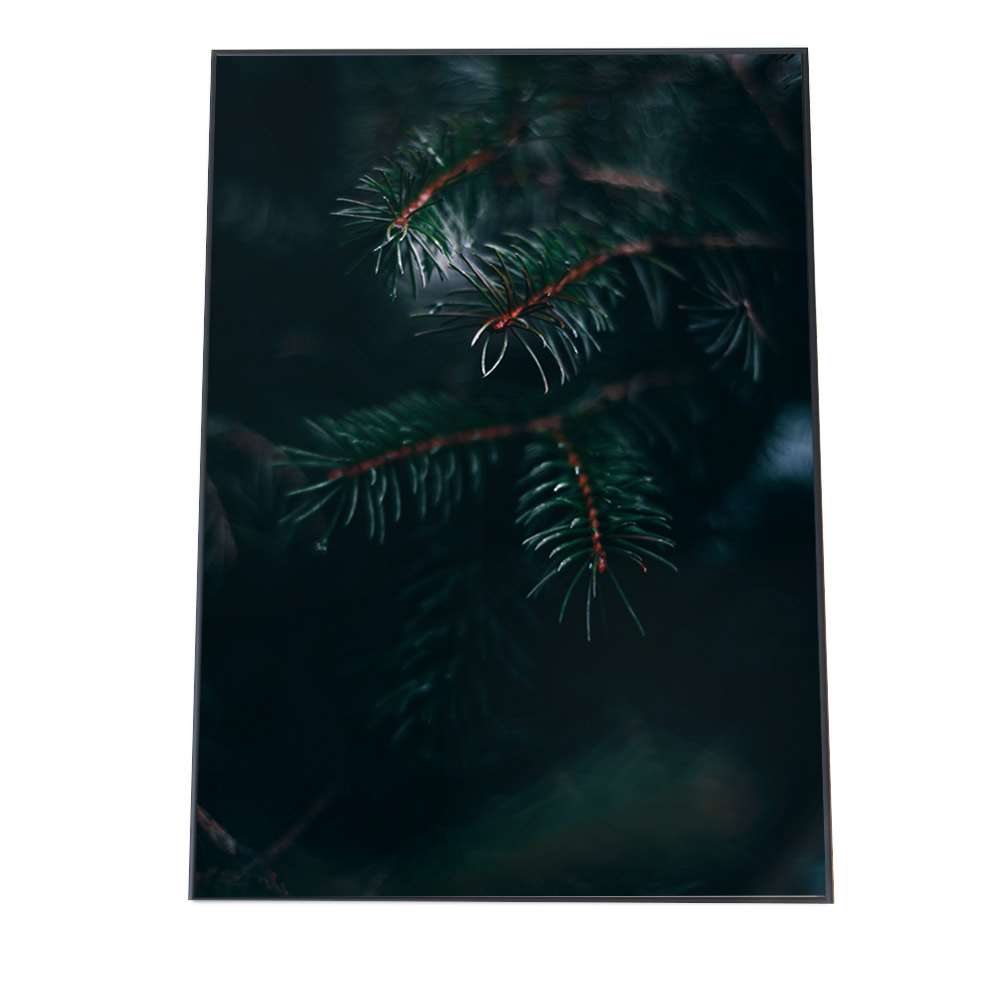 アートプリント ポスター インテリア おしゃれ 森 林 針葉樹 木 ウッド 風景 キャンプ 緑 グリーン 絵 画 a0 a1 a2 a3 a4 b0 b1 b2 b3 b4 特大 大きい 小さい 縦【fg-poster-500】