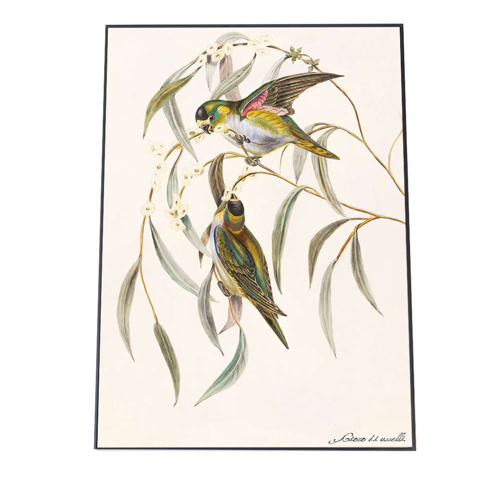 アートプリント ポスター インテリア おしゃれ トリ 鳥 絵画 アート 画 絵 自然 和風 バード 北欧 ナチュラル モダン a0 a1 a2 a3 a4 b0 b1 b2 b3 b4 特大 大きい 小さい 縦【fg-poster-503】