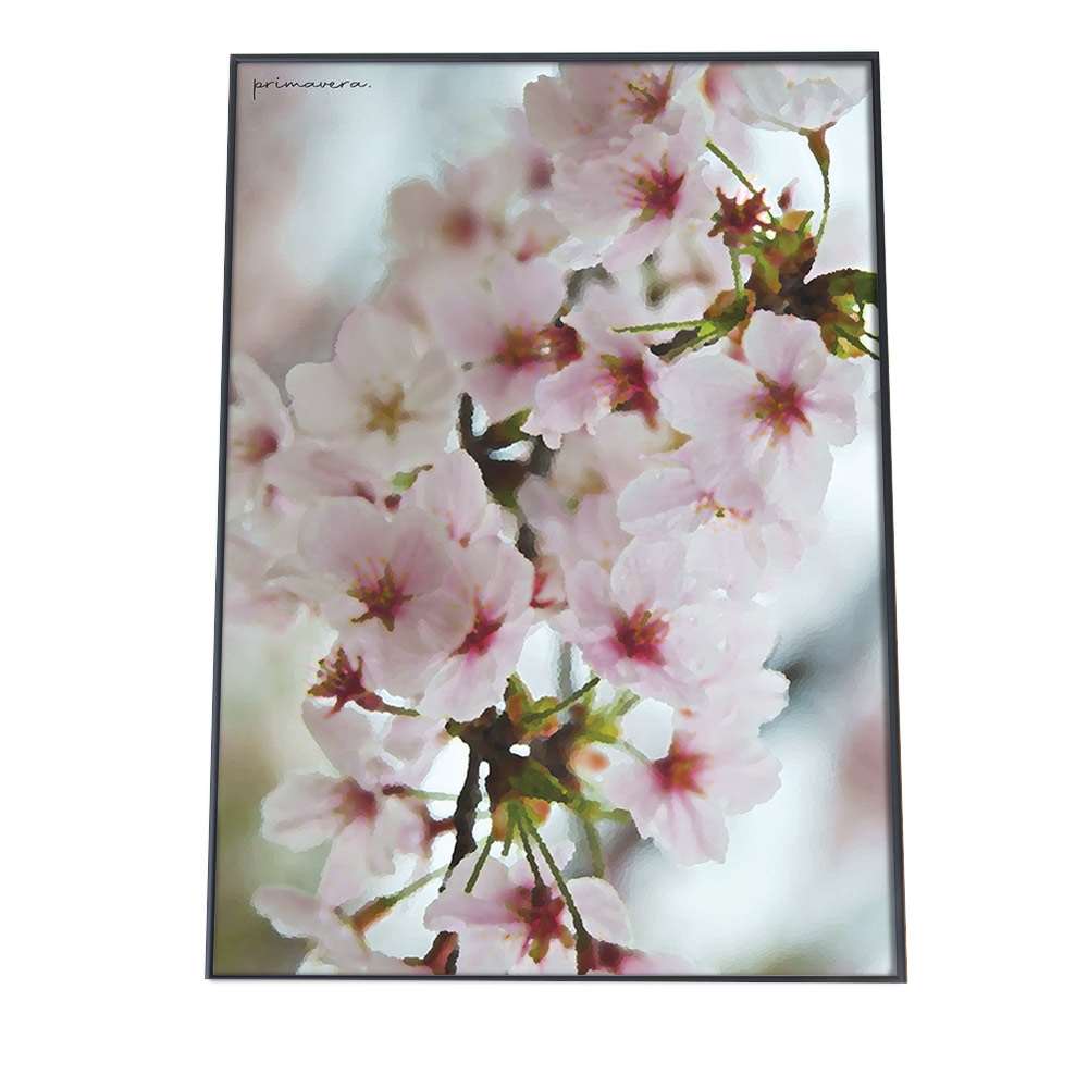 アートプリント ポスター インテリア おしゃれ サクラ 梅 ウメ 花 フラワー ピンク 木 ガーデニング ウ..