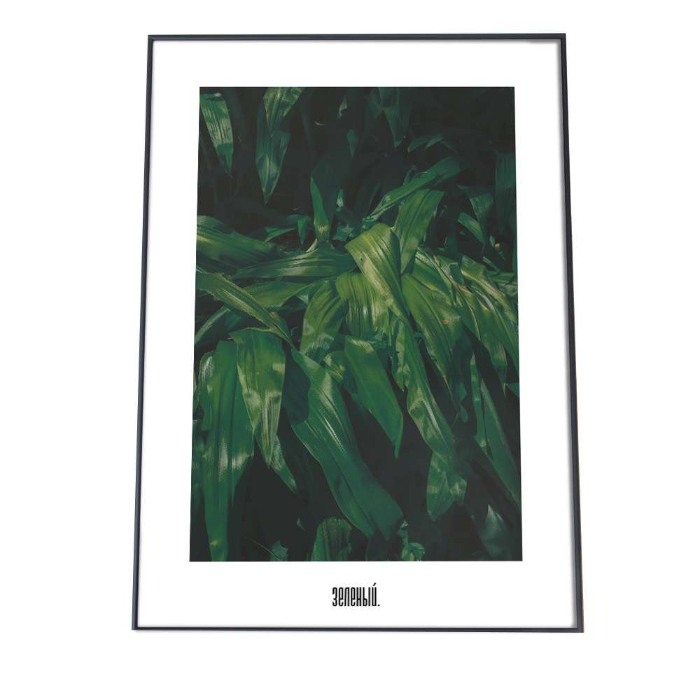 アートプリント ポスター インテリア シンプル おしゃれ 韓国 ヨーロッパ ナチュラル 北欧 森 ジャングル ボタニカル 緑 高画質 植物 カフェ レトロ ヴィンテージ a0 a1 a2 a3 a4 b0 b1 b2 b3 b4 特大 小さい 縦【fg-poster-94】