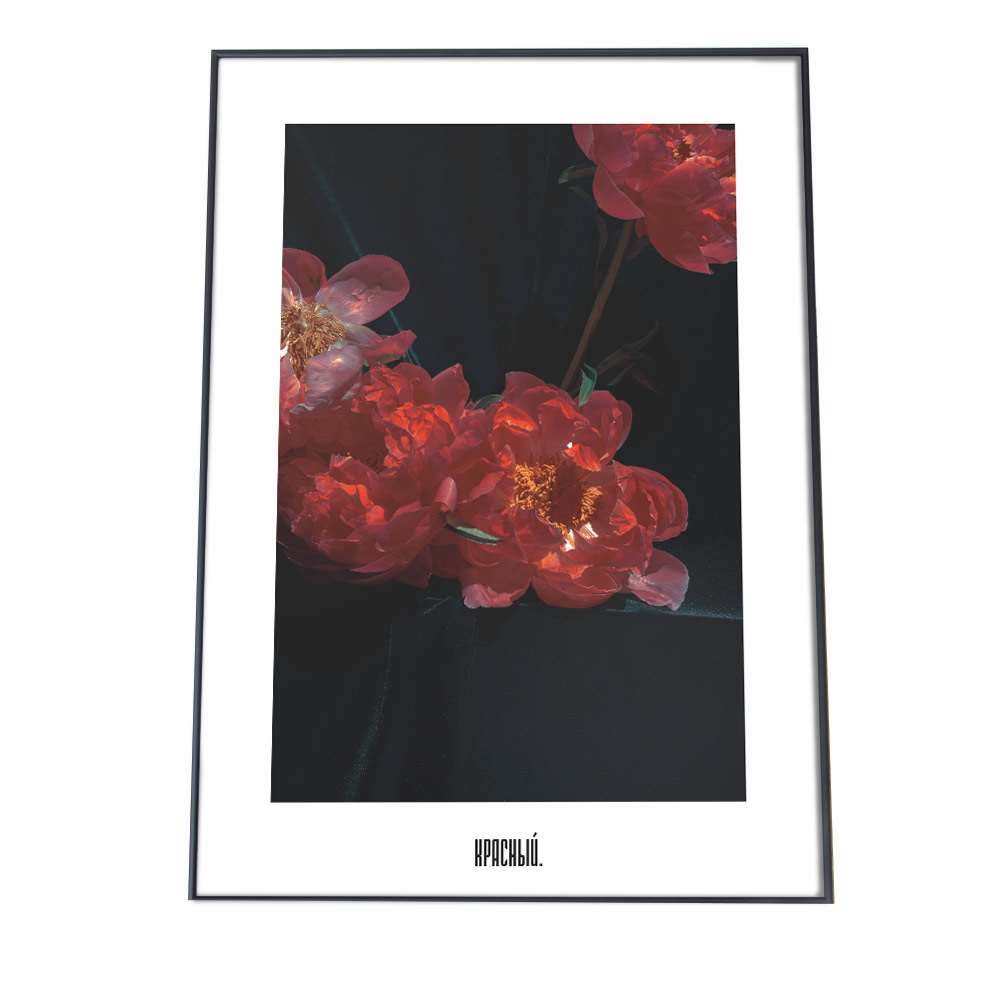 アートプリント ポスター インテリア シンプル おしゃれ 韓国 ヨーロッパ ナチュラル 北欧 森 ジャングル ボタニカル 椿 花 緑 カフェ レトロ ヴィンテージ a0 a1 a2 a3 a4 b0 b1 b2 b3 b4 特大 小さい 縦【fg-poster-95】