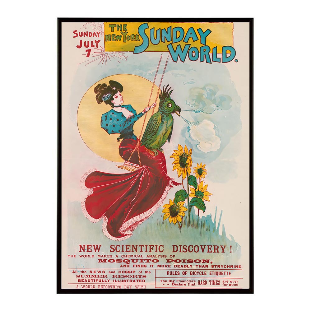 illustration_of_a_woman_on_a_swing_with_a_large_bird_sitting_on_her_lap_smoking_a_cigar 超レトロ 古い 世界 ポスター インテリア クラシック 古典 デジタルリマスター おしゃれ プリントポスター フォト オシャレ アート モダン 【bn-poster-2500】