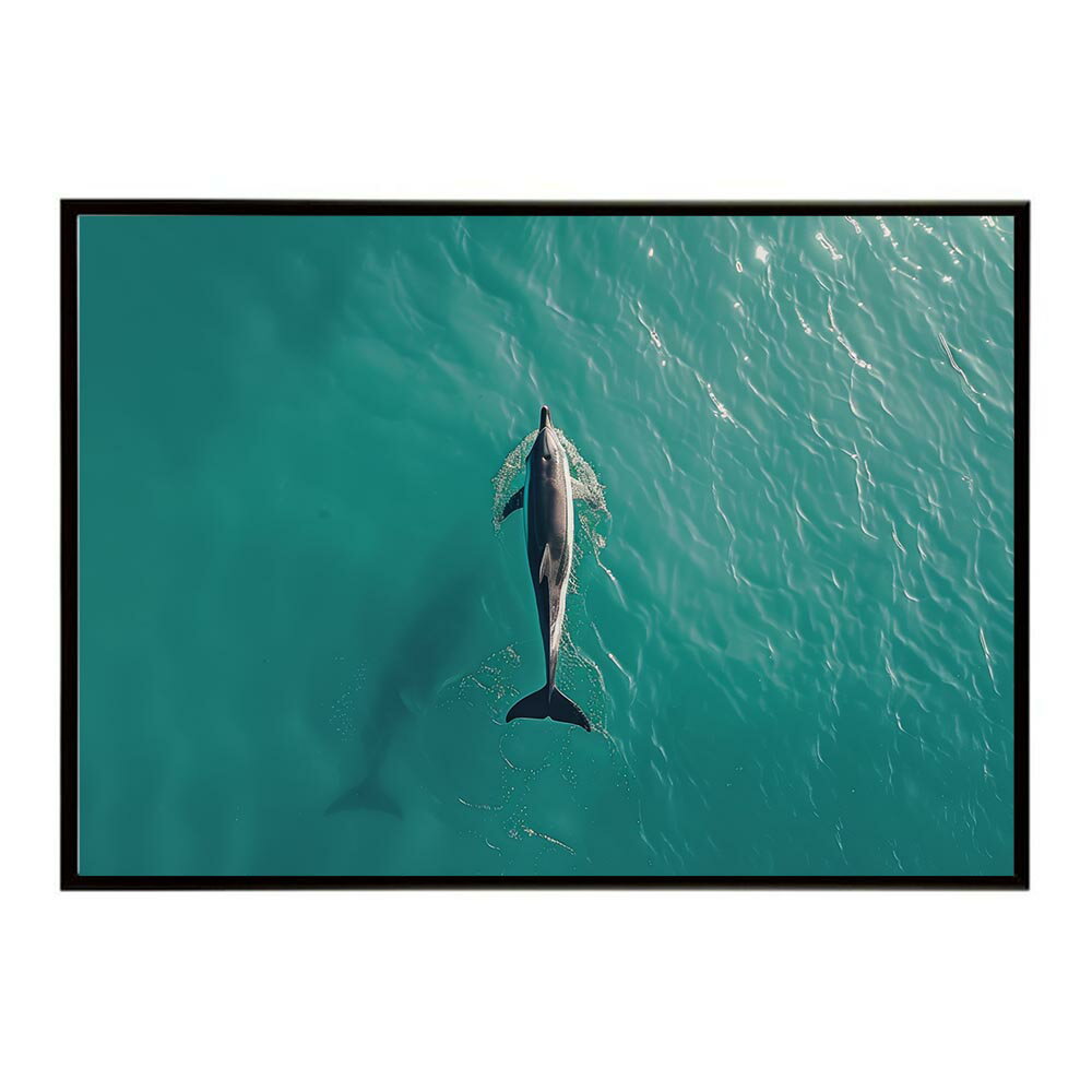 イルカ 海 ブルー ドルフィン 夏 ポスター クジラ シャチ 水族館 水中　南国 ハワイ 自然 サーフ用紙とサイズが選べる インテリア おしゃれ プリントポスター フォト オシャレ アート お洒落 特大 大きい【lh-poster-5835】