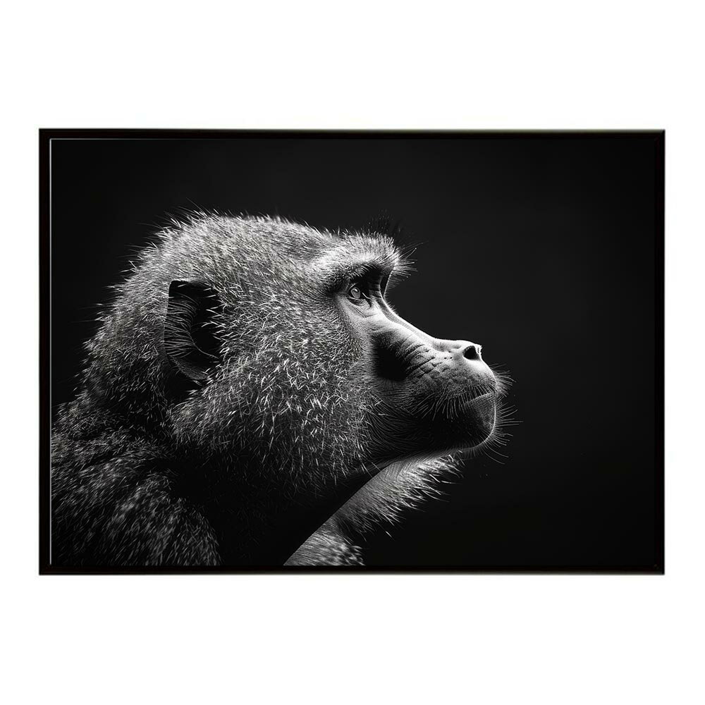 Baboon ヒヒ バブーン サバンナ アフリカ 草原 自然 ネイチャー 動物 アニマル 野...