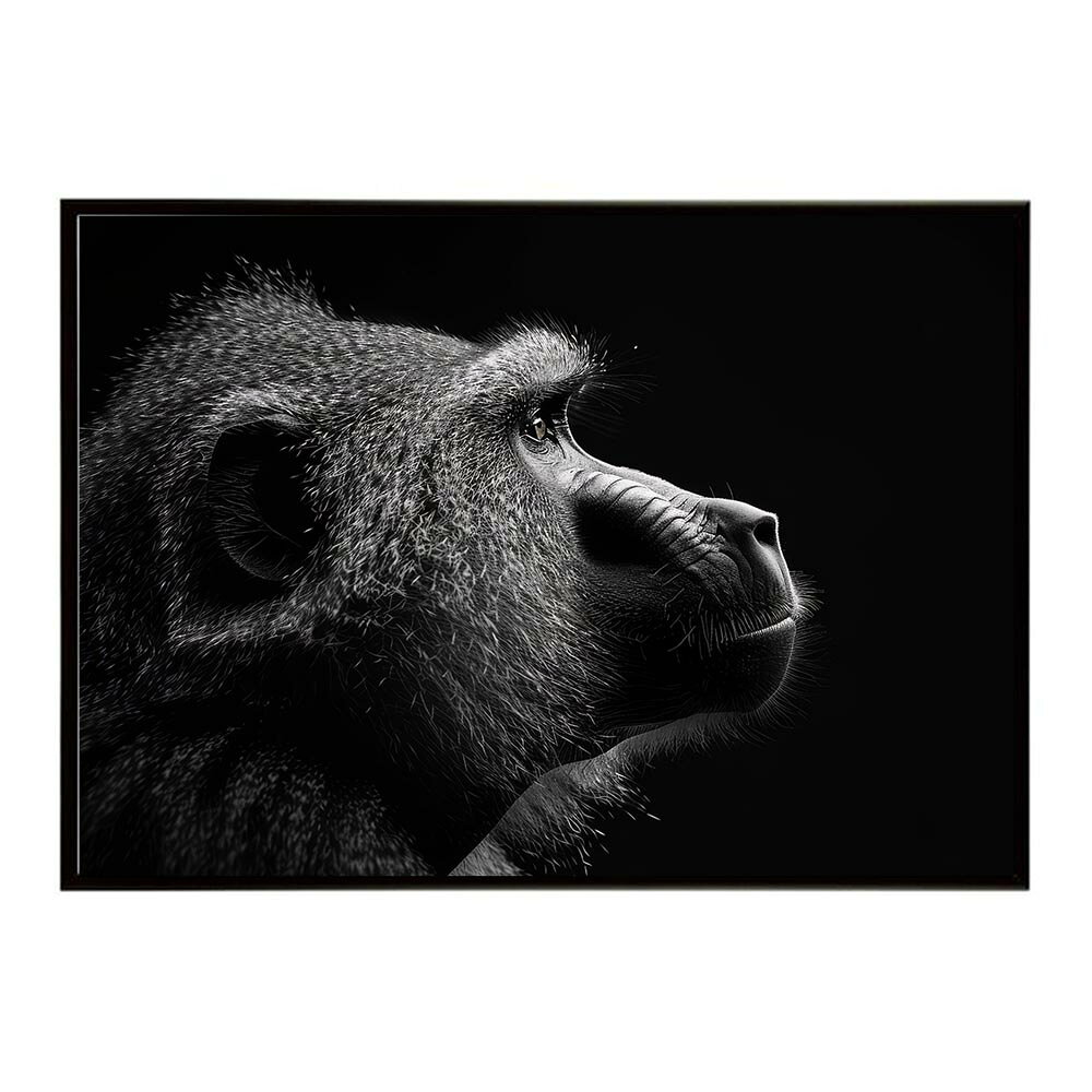 Baboon ヒヒ バブーン サバンナ アフリカ 草原 自然 ネイチャー 動物 アニマル 野生動物 写真 猿ポスター インテリア おしゃれ プリントポスター フォト シンプル お洒落 特大 大きい/lh-poster-6156