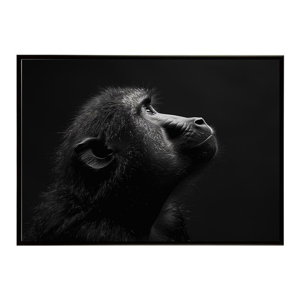 Baboon ヒヒ バブーン サバンナ アフリカ 草原 自然 ネイチャー 動物 アニマル 野生動物 写真 猿ポスター インテリア おしゃれ プリントポスター フォト シンプル お洒落 特大 大きい/lh-poster-6157