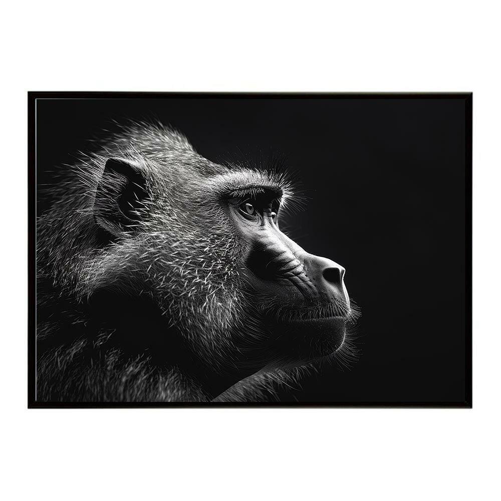 Baboon ヒヒ バブーン サバンナ アフリカ 草原 自然 ネイチャー 動物 アニマル 野生動物 写真 猿ポスター インテリア おしゃれ プリントポスター フォト シンプル お洒落 特大 大きい/lh-poster-6158