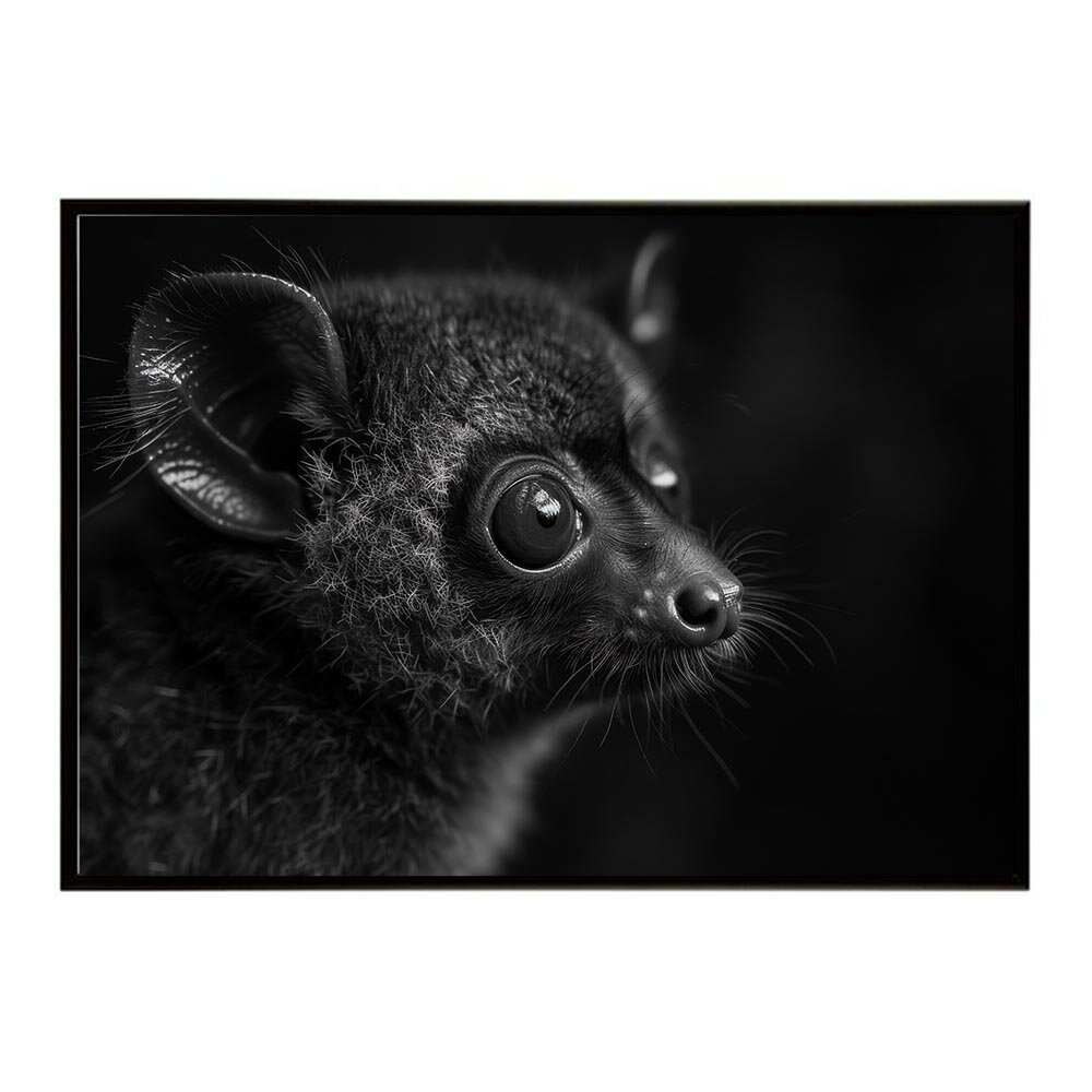 Bushbaby ガラゴ ブッシュベイビー サバンナ アフリカ 草原 自然 ネイチャー 動物 アニマル 野生動物 写真ポスター インテリア おしゃれ プリントポスター フォト シンプル お洒落 特大 大きい/lh-poster-6235