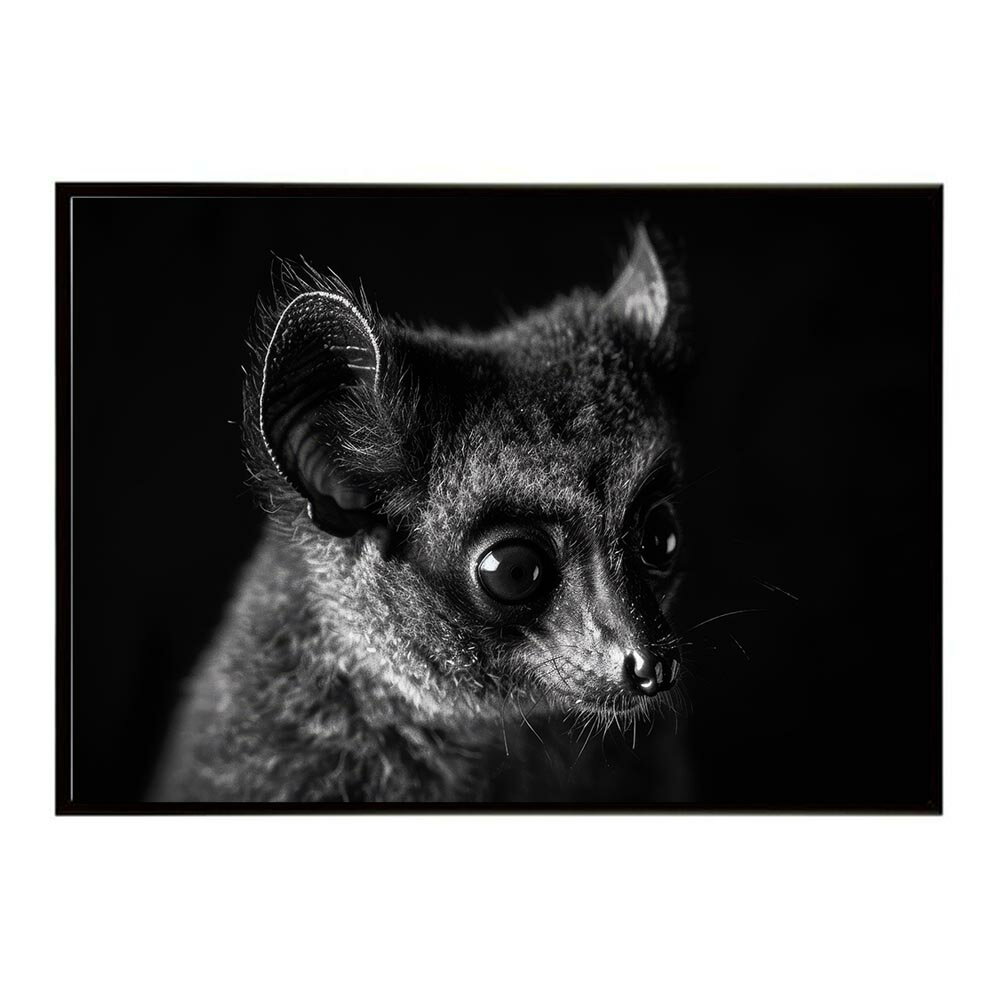 Bushbaby ガラゴ ブッシュベイビー サバンナ アフリカ 草原 自然 ネイチャー 動物 アニマル 野生動物 写真ポスター インテリア おしゃれ プリントポスター フォト シンプル お洒落 特大 大きい/lh-poster-6241