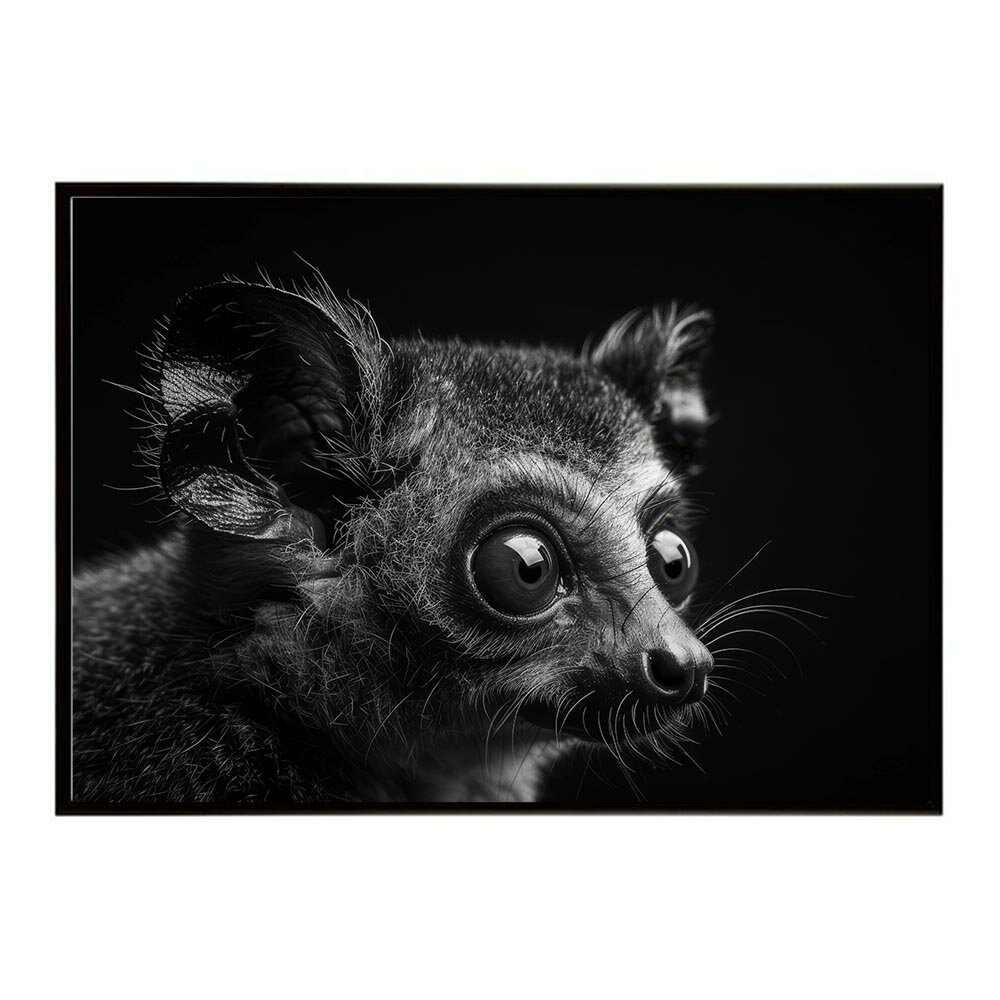 Bushbaby ガラゴ ブッシュベイビー サバンナ アフリカ 草原 自然 ネイチャー 動物 アニマル 野生動物 写真ポスター インテリア おしゃれ プリントポスター フォト シンプル お洒落 特大 大きい/lh-poster-6242