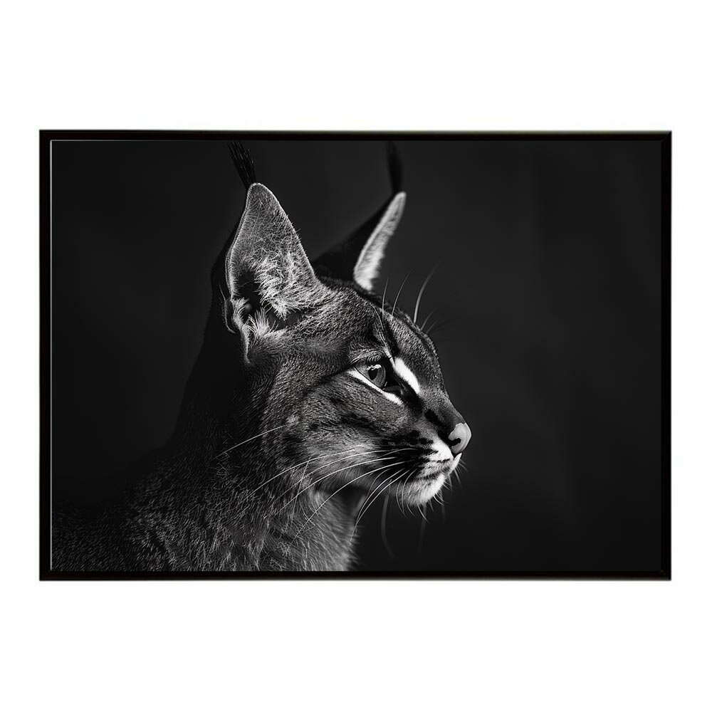 Rakuten - Caracal カラカル カラカルキャット サバンナ アフリカ 草原 自然 ネイチャー 動物 アニマル 野生動物 写真 猫ポスター インテリア おしゃれ プリントポスター フォト シンプル お洒落 特大 大きい/lh-poster-6260
