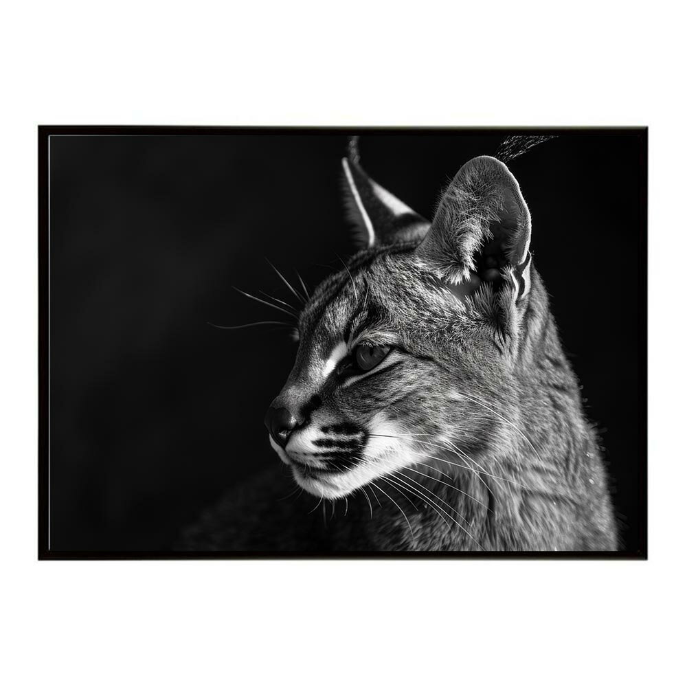 Rakuten - Caracal カラカル カラカルキャット サバンナ アフリカ 草原 自然 ネイチャー 動物 アニマル 野生動物 写真 猫ポスター インテリア おしゃれ プリントポスター フォト シンプル お洒落 特大 大きい/lh-poster-6300