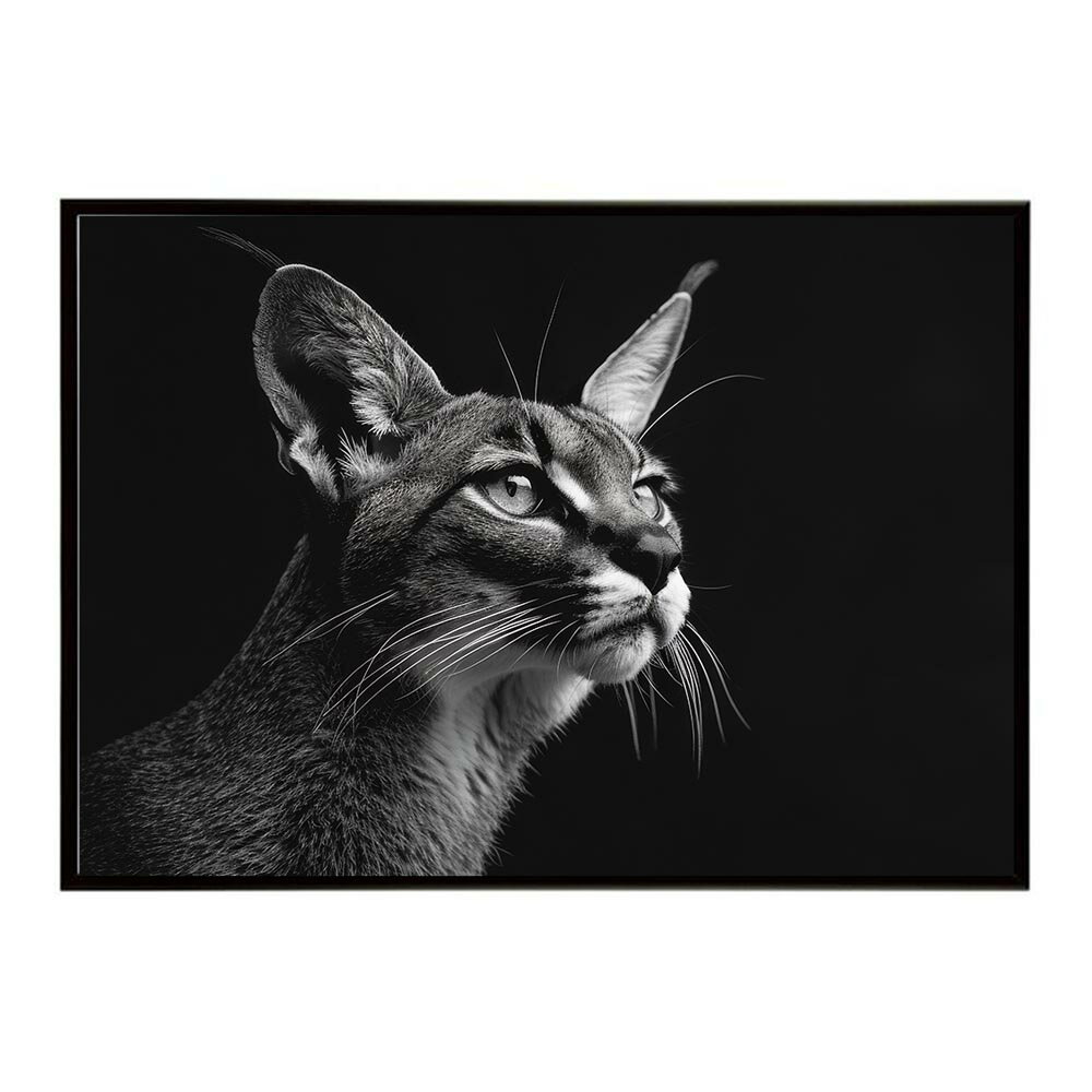 Rakuten - Caracal カラカル カラカルキャット サバンナ アフリカ 草原 自然 ネイチャー 動物 アニマル 野生動物 写真 猫ポスター インテリア おしゃれ プリントポスター フォト シンプル お洒落 特大 大きい/lh-poster-6301