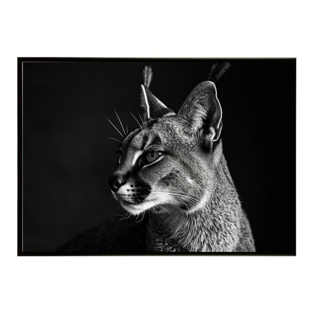 Caracal カラカル カラカルキャット サバンナ アフリカ 草原 自然 ネイチャー 動物 アニマル 野生動物 写真 猫ポスター インテリア おしゃれ プリントポスター フォト シンプル お洒落 特大 大きい/lh-poster-6304