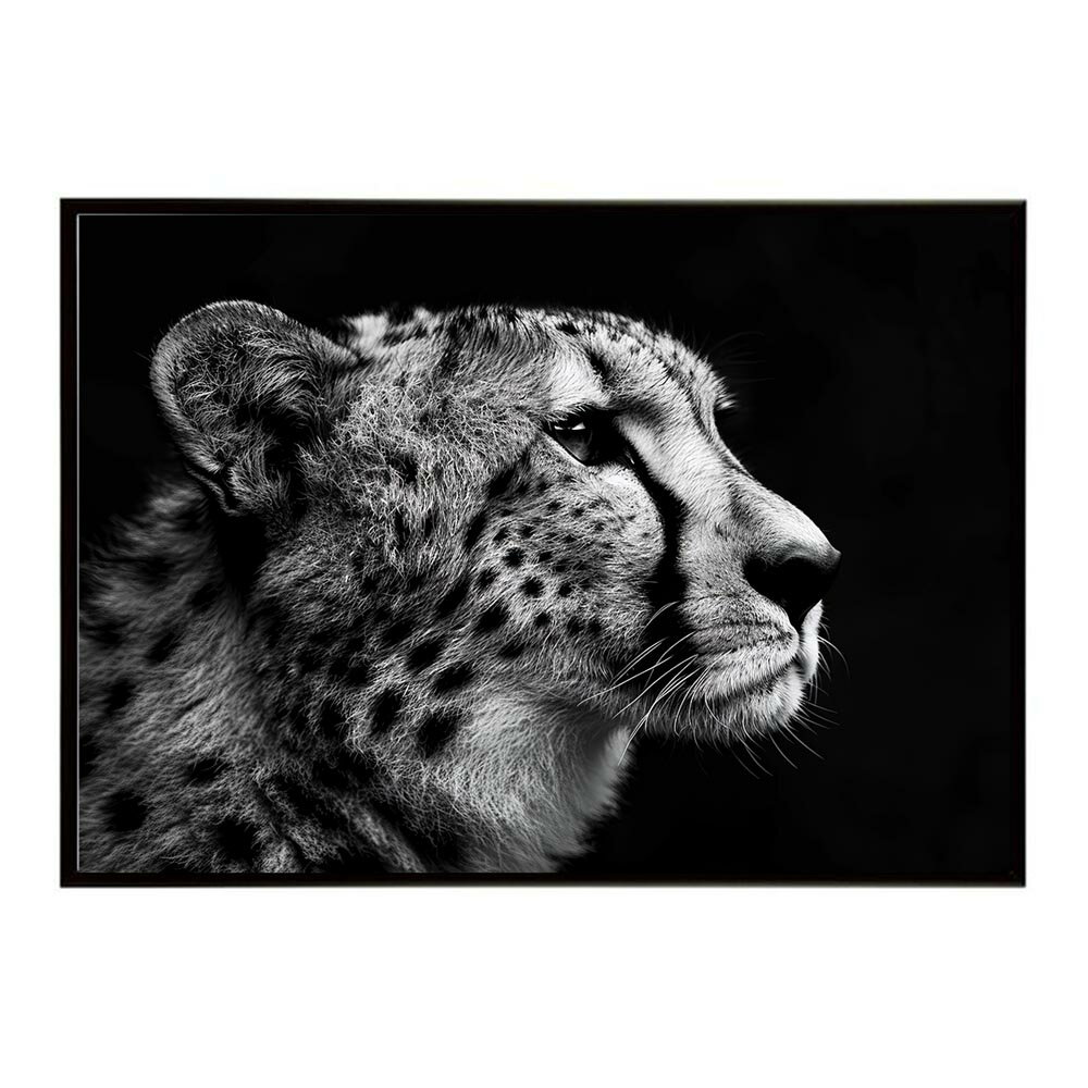 Rakuten - Cheetah チーター サバンナ アフリカ 草原 自然 ネイチャー 動物 アニマル 野生動物 写真 猫ポスター インテリア おしゃれ プリントポスター フォト シンプル お洒落 特大 大きい/lh-poster-6353
