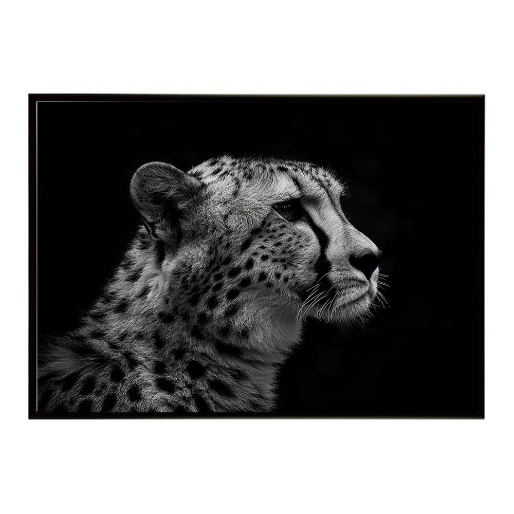 Rakuten - Cheetah チーター サバンナ アフリカ 草原 自然 ネイチャー 動物 アニマル 野生動物 写真 猫ポスター インテリア おしゃれ プリントポスター フォト シンプル お洒落 特大 大きい/lh-poster-6355