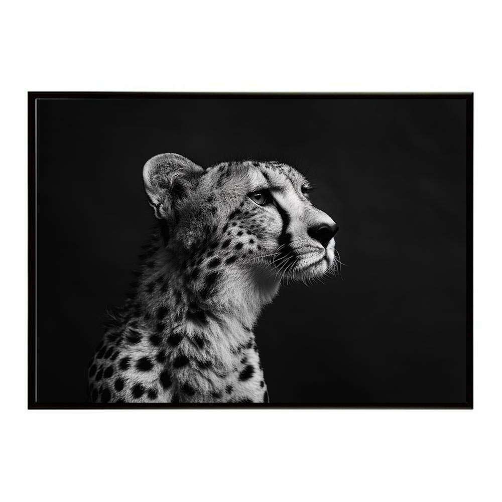 Cheetah チーター サバンナ アフリカ 草原 自然 ネイチャー 動物 アニマル 野生動物 写真 猫ポスター インテリア おしゃれ プリントポスター フォト シンプル お洒落 特大 大きい/lh-poster-6360
