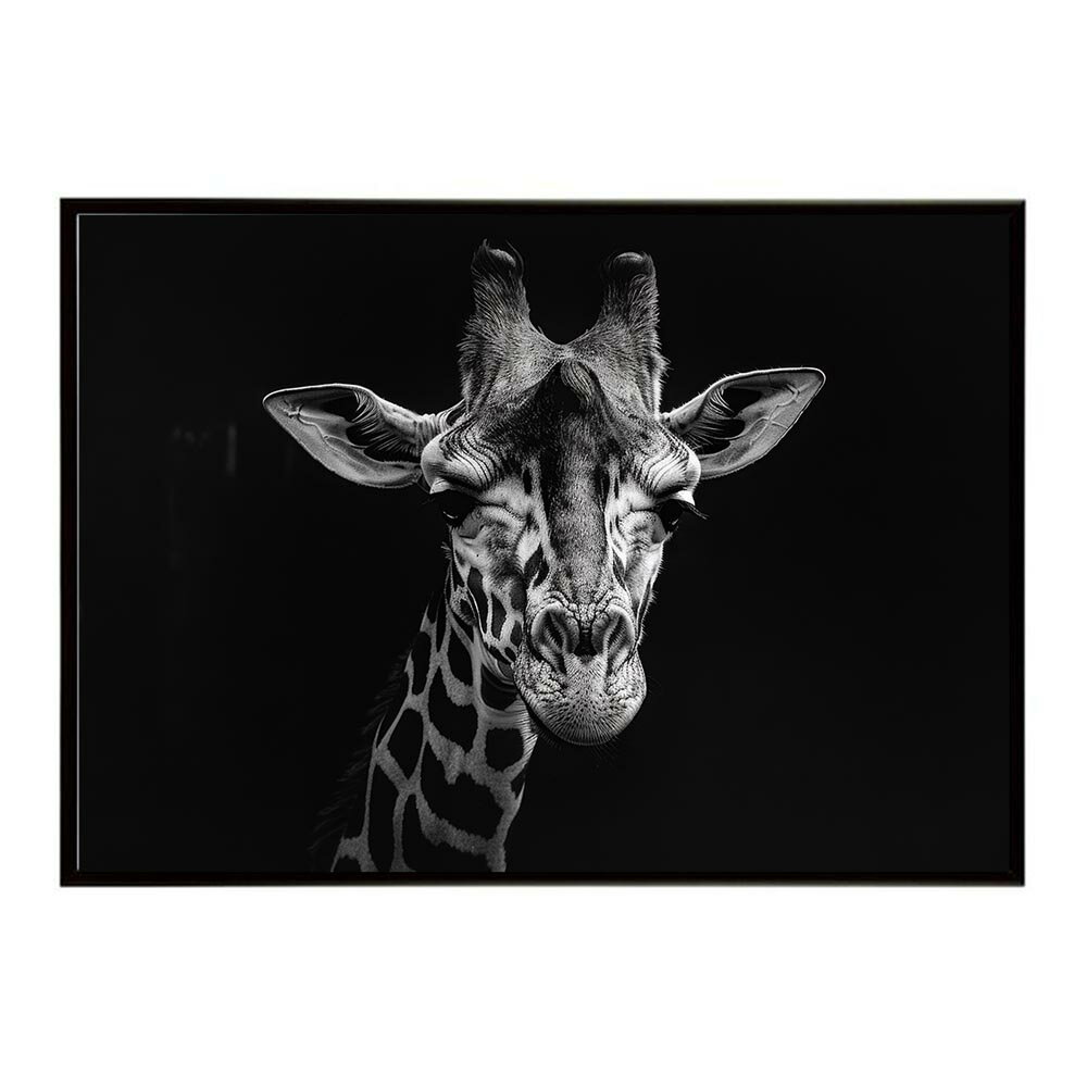Rakuten - Giraffe キリン ジラフ サバンナ アフリカ 草原 自然 ネイチャー 動物 アニマル 野生動物 写真ポスター インテリア おしゃれ プリントポスター フォト シンプル お洒落 特大 大きい/lh-poster-6450
