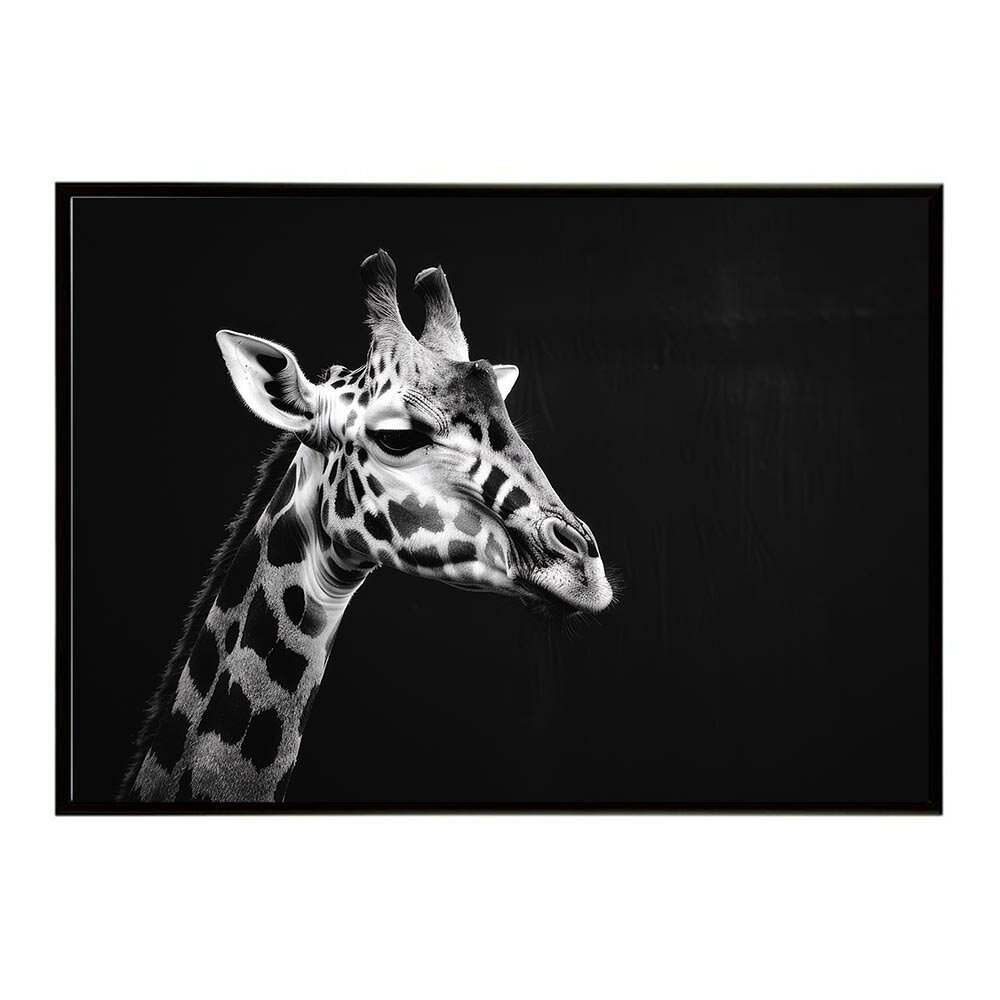 Rakuten - Giraffe キリン ジラフ サバンナ アフリカ 草原 自然 ネイチャー 動物 アニマル 野生動物 写真ポスター インテリア おしゃれ プリントポスター フォト シンプル お洒落 特大 大きい/lh-poster-6453