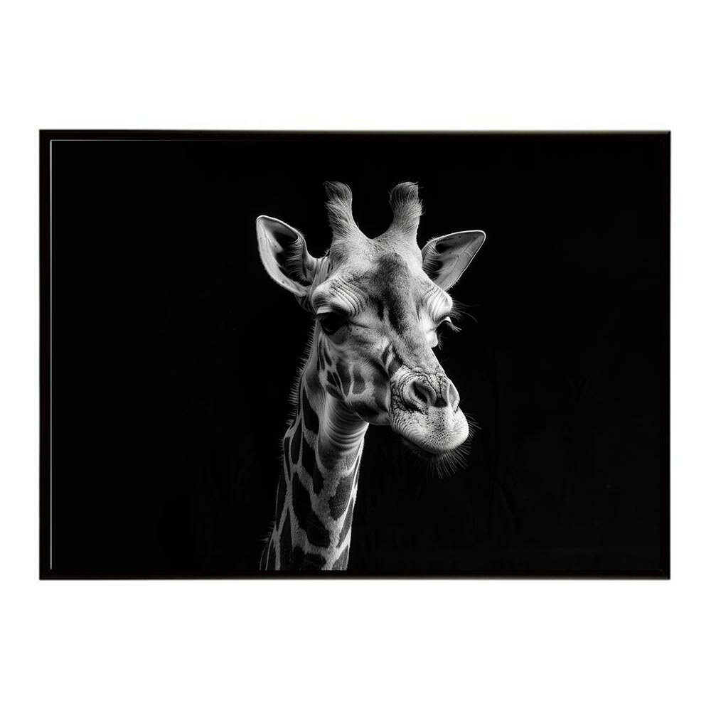 Giraffe キリン ジラフ サバンナ アフリカ 草原 自然 ネイチャー 動物 アニマル 野生動物 写真ポスター インテリア おしゃれ プリントポスター フォト シンプル お洒落 特大 大きい/lh-poster-6465