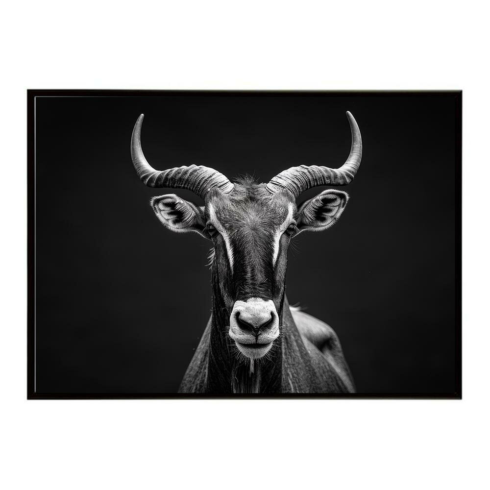 Hartebeest ハーテビースト アンテロープ サバンナ アフリカ 草原 自然 ネイチャー 動物 アニマル 野生動物 写真 鹿ポスター インテリア おしゃれ プリントポスター フォト シンプル お洒落 特大 大きい/lh-poster-6495