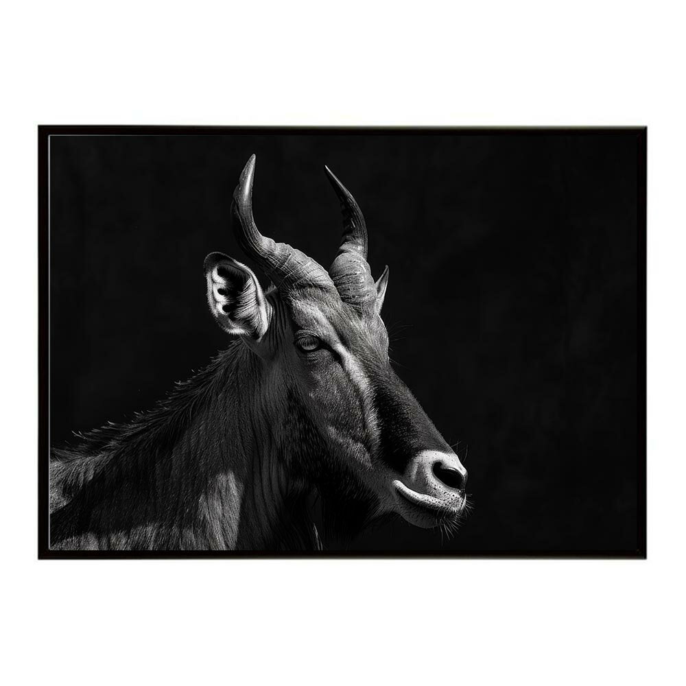 Hartebeest ハーテビースト アンテロープ サバンナ アフリカ 草原 自然 ネイチャー 動物 アニマル 野生動物 写真 鹿ポスター インテリア おしゃれ プリントポスター フォト シンプル お洒落 特大 大きい/lh-poster-6506