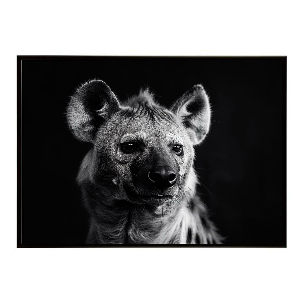 Hyena ハイエナ ヒヒ サバンナ アフリカ 草原 自然 ネイチャー 動物 アニマル 野生動物 写真 犬 コヨーテポスター インテリア おしゃれ プリントポスター フォト シンプル お洒落 特大 大きい/lh-poster-6641