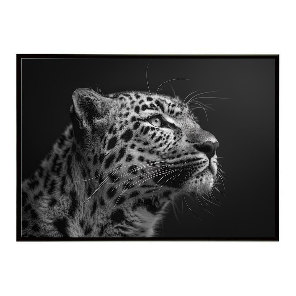 Leopard ヒョウ レパード サバンナ アフリカ 草原 自然 ネイチャー 動物 アニマル 野生動物 写真 猫ポ..