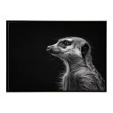 Meerkat ミーアキャット サバンナ アフリカ 草原 自然 ネイチャー 動物 アニマル 野生動物 写真ポスター インテリア おしゃれ プリントポスター フォト シンプル お洒落 特大 大きい/lh-poster-6778