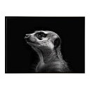 Meerkat ミーアキャット サバンナ アフリカ 草原 自然 ネイチャー 動物 アニマル 野生動物 写真ポスター インテリア おしゃれ プリントポスター フォト シンプル お洒落 特大 大きい/lh-poster-6784