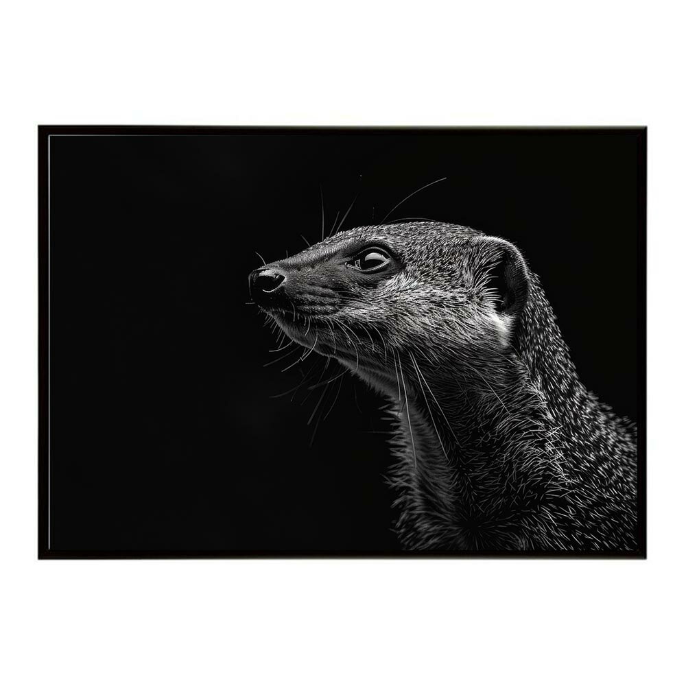 Mongoose �ޥ󥰡��� ���Х�� ���եꥫ �� ���� �ͥ����㡼 ưʪ ���˥ޥ� ����ưʪ �̿��ݥ����� ����ƥꥢ ������� �ץ��ȥݥ����� �ե��� ����ץ� ��ޯ�� ���� �礭��/lh-poster-6807