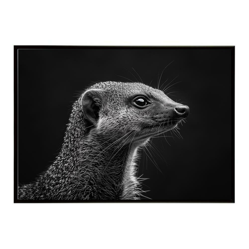 Mongoose マングース サバンナ アフリカ 草原 自然 ネイチャー 動物 アニマル 野生動物 写真ポスター インテリア おしゃれ プリントポスター フォト シンプル お洒落 特大 大きい/lh-poster-6811