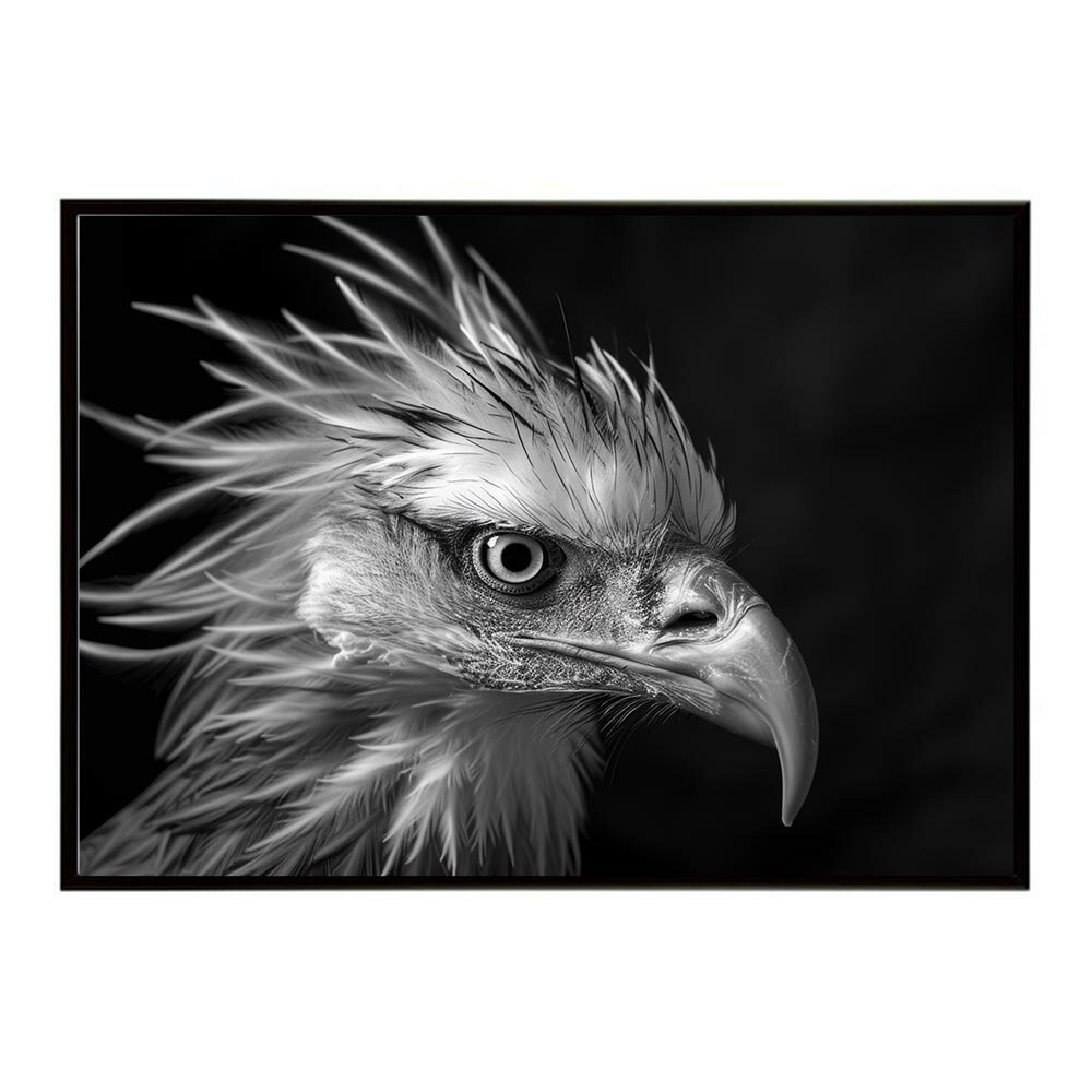 Secretary bird セクレタリーバード サバンナ アフリカ 草原 自然 ネイチャー 動物 アニマル 野生動物 写真 鳥ポスター インテリア おしゃれ プリントポスター フォト シンプル お洒落 特大 大きい/lh-poster-6889