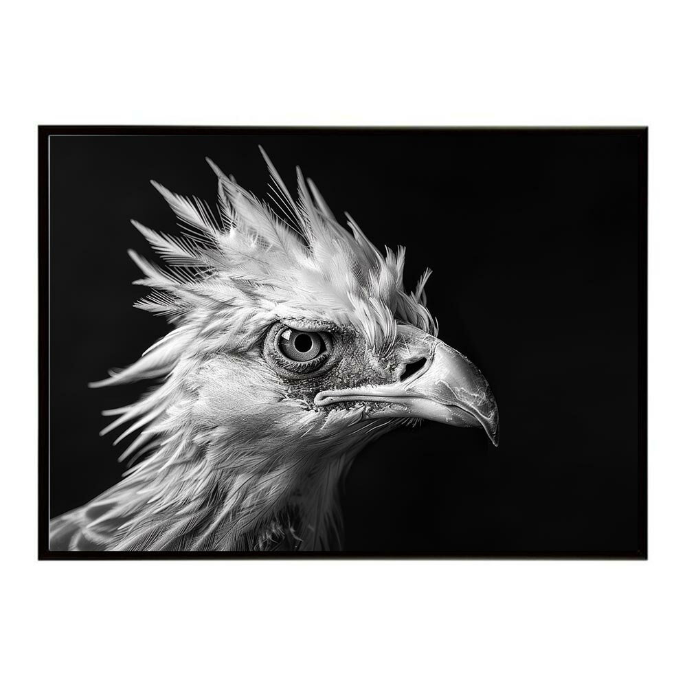 Secretary bird セクレタリーバード サバンナ アフリカ 草原 自然 ネイチャー 動物 アニマル 野生動物 写真 鳥ポスター インテリア おしゃれ プリントポスター フォト シンプル お洒落 特大 大きい/lh-poster-6895
