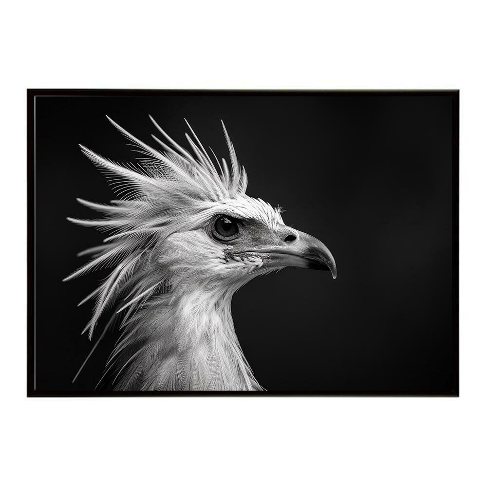 Secretary bird セクレタリーバード サバンナ アフリカ 草原 自然 ネイチャー 動物 アニマル 野生動物 写真 鳥ポスター インテリア おしゃれ プリントポスター フォト シンプル お洒落 特大 大きい/lh-poster-6899