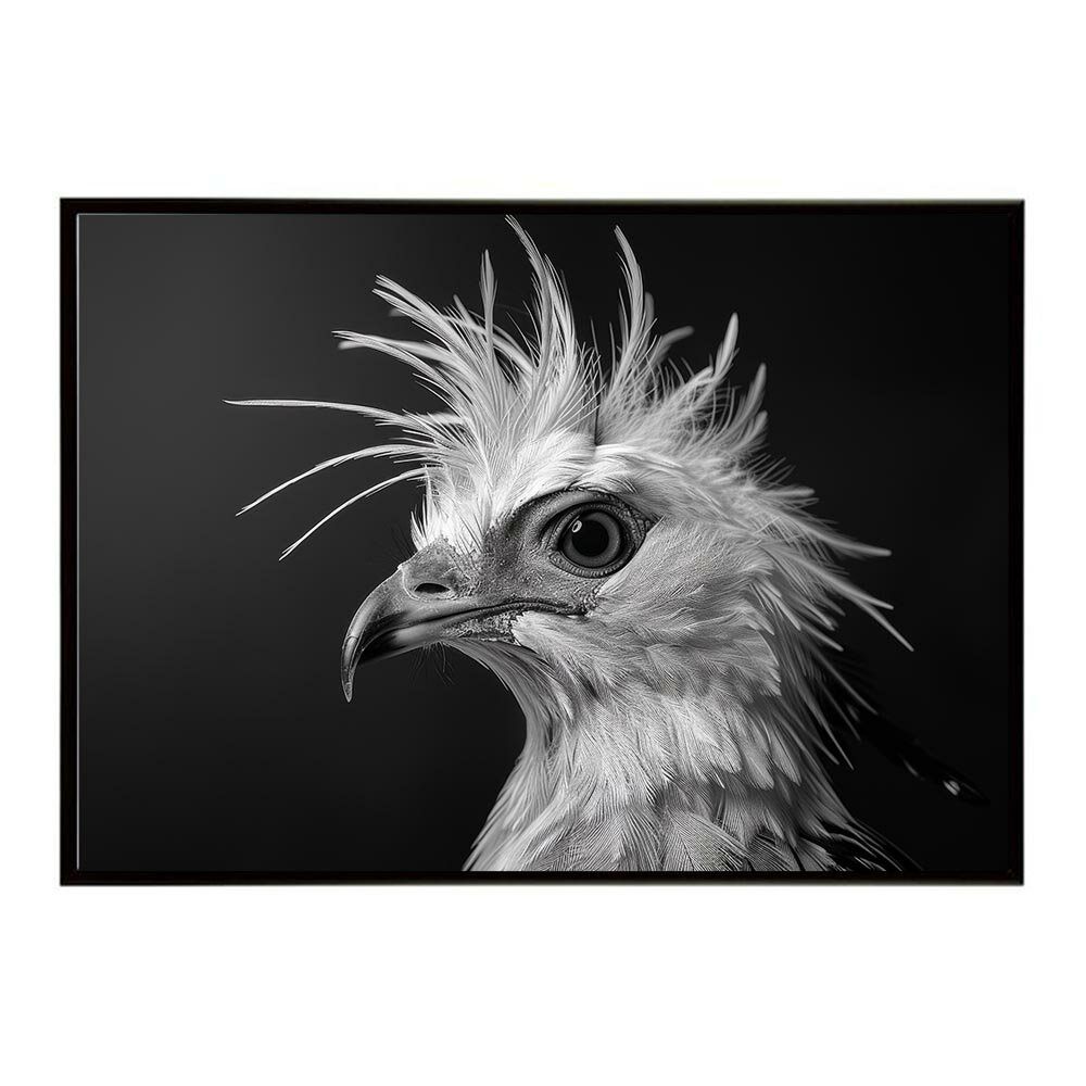 Secretary bird セクレタリーバード サバンナ アフリカ 草原 自然 ネイチャー 動物 アニマル 野生動物 写真 鳥ポスター インテリア おしゃれ プリントポスター フォト シンプル お洒落 特大 大きい/lh-poster-6901