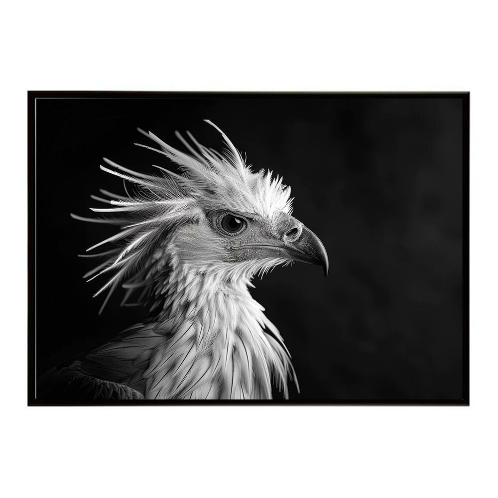 Secretary bird セクレタリーバード サバンナ アフリカ 草原 自然 ネイチャー 動物 アニマル 野生動物 写真 鳥ポスター インテリア おしゃれ プリントポスター フォト シンプル お洒落 特大 大きい/lh-poster-6903