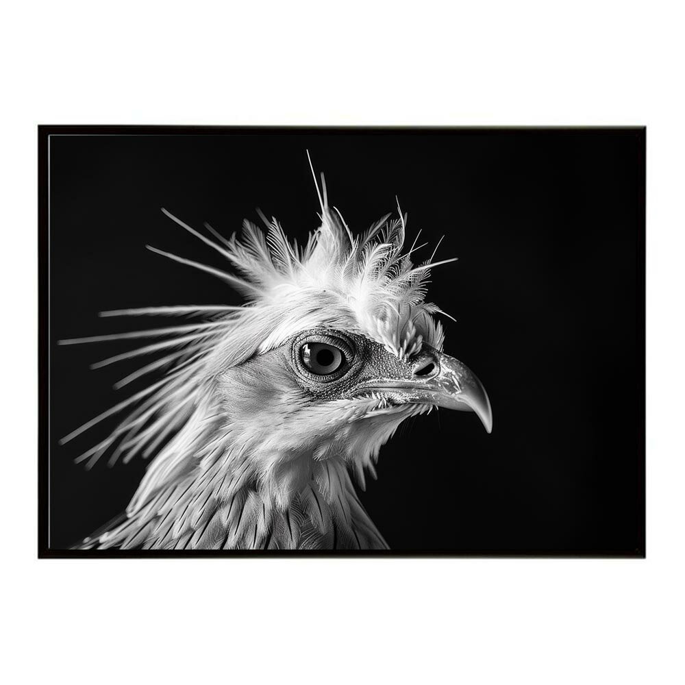 Secretary bird セクレタリーバード サバンナ アフリカ 草原 自然 ネイチャー 動物 アニマル 野生動物 写真 鳥ポスター インテリア おしゃれ プリントポスター フォト シンプル お洒落 特大 大きい/lh-poster-6908