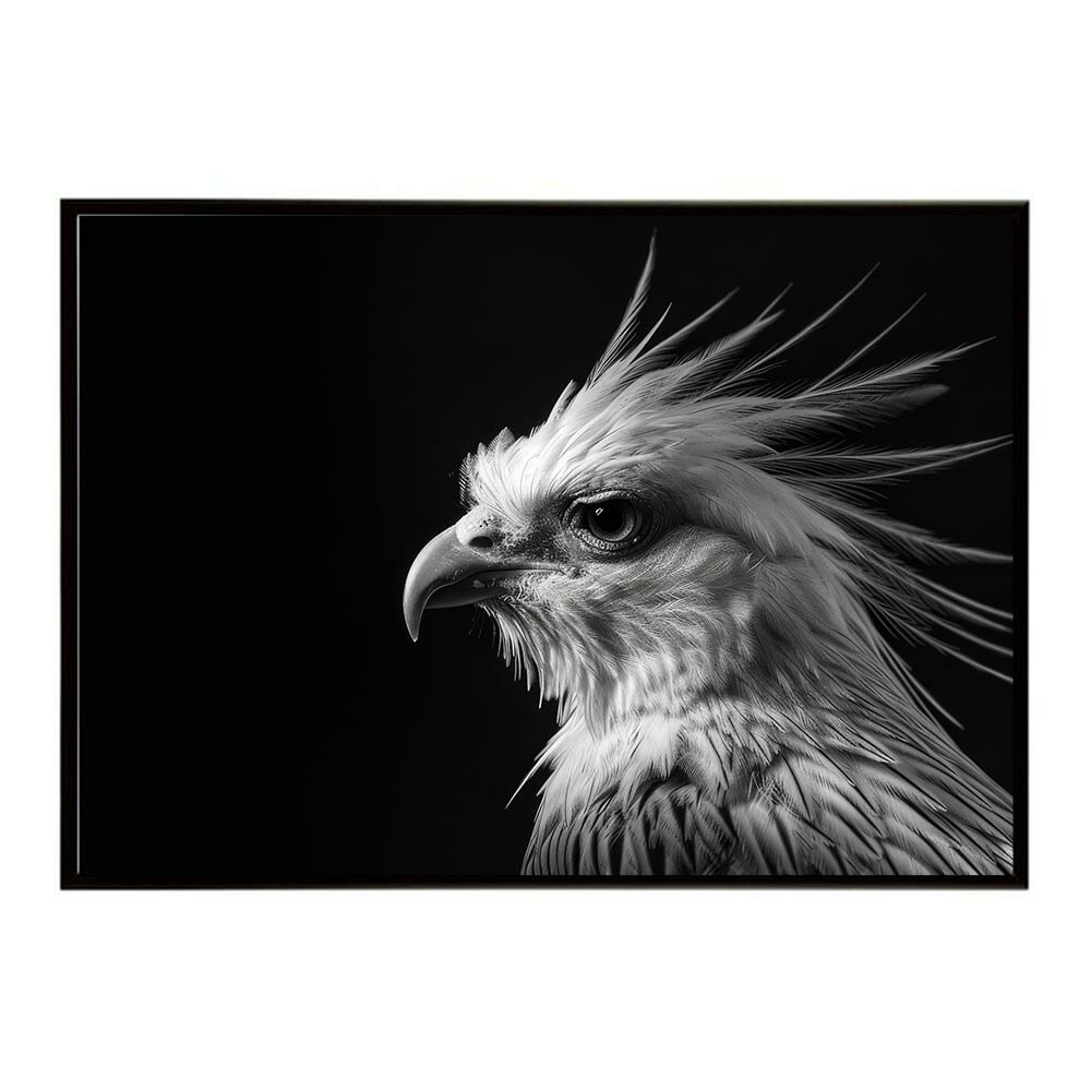 Secretary bird セクレタリーバード サバンナ アフリカ 草原 自然 ネイチャー 動物 アニマル 野生動物 写真 鳥ポスター インテリア おしゃれ プリントポスター フォト シンプル お洒落 特大 大きい/lh-poster-6910