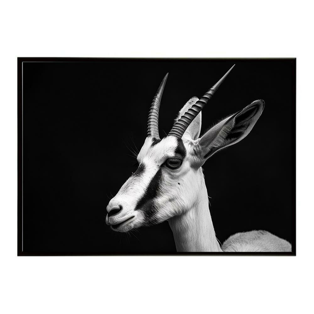 Springbok スプリングボック アンテロープ サバンナ アフリカ 草原 自然 ネイチャー 動物 アニマル 野生動物 写真 鹿ポスター インテリア おしゃれ プリントポスター フォト シンプル お洒落 特大 大きい/lh-poster-6974