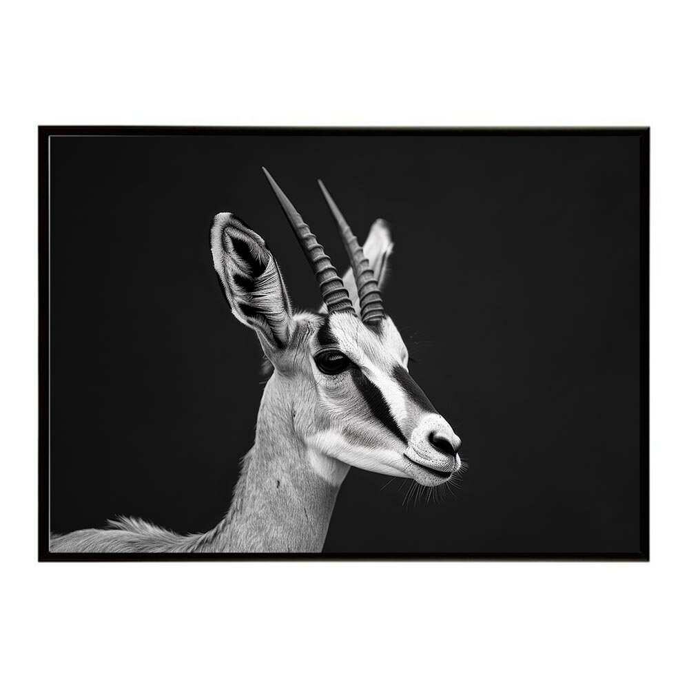 Springbok スプリングボック アンテロープ サバンナ アフリカ 草原 自然 ネイチャー 動物 アニマル 野生動物 写真 鹿ポスター インテリア おしゃれ プリントポスター フォト シンプル お洒落 特大 大きい/lh-poster-6975
