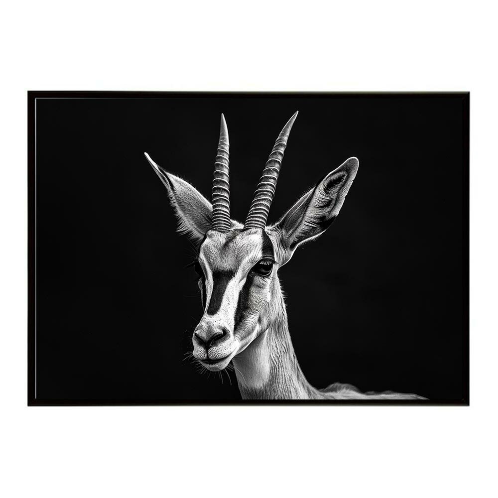 Springbok スプリングボック アンテロープ サバンナ アフリカ 草原 自然 ネイチャー 動物 アニマル 野生動物 写真 鹿ポスター インテリア おしゃれ プリントポスター フォト シンプル お洒落 特大 大きい/lh-poster-6979