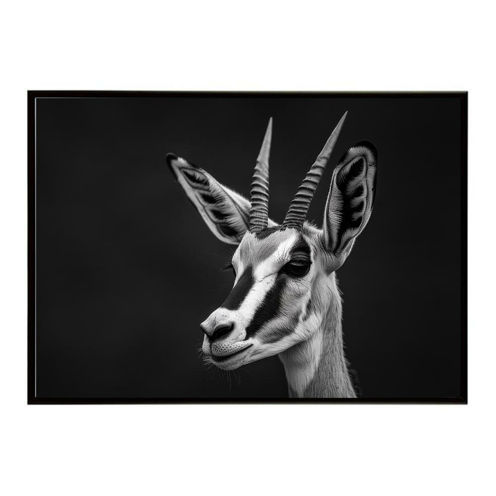 Springbok スプリングボック アンテロープ サバンナ アフリカ 草原 自然 ネイチャー 動物 アニマル 野生動物 写真 鹿ポスター インテリア おしゃれ プリントポスター フォト シンプル お洒落 特大 大きい/lh-poster-6980