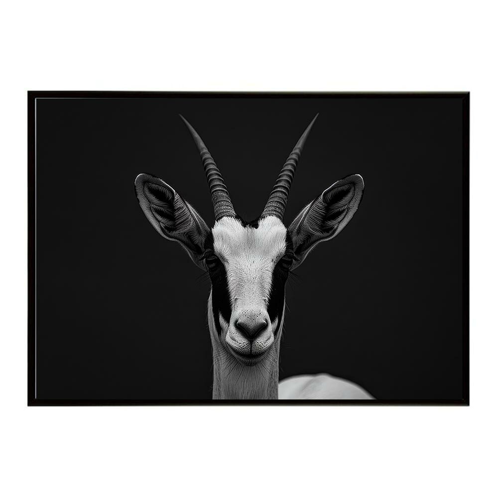 Springbok スプリングボック アンテロープ サバンナ アフリカ 草原 自然 ネイチャー 動物 アニマル 野生動物 写真 鹿ポスター インテリア おしゃれ プリントポスター フォト シンプル お洒落 特大 大きい/lh-poster-6981