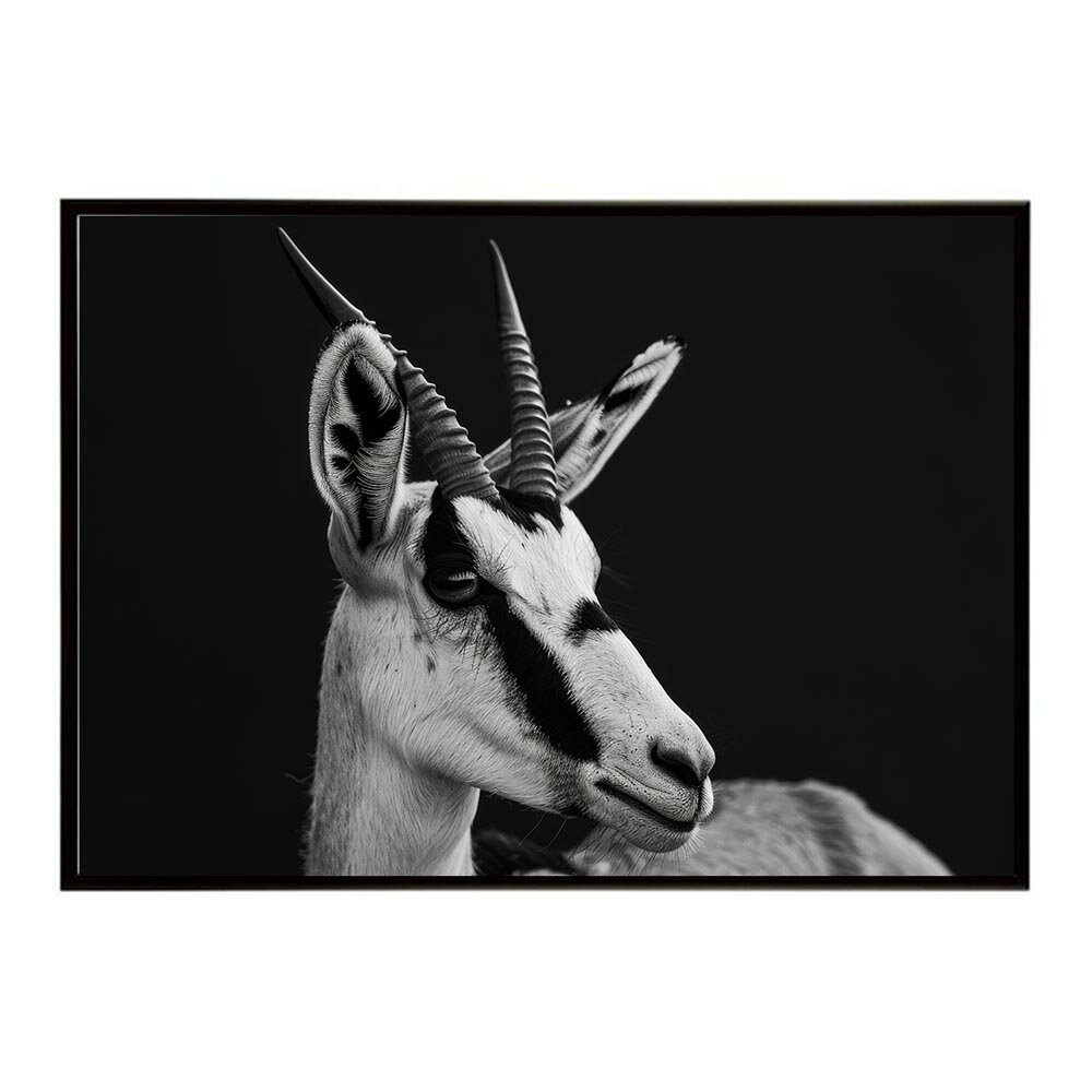 Springbok スプリングボック アンテロープ サバンナ アフリカ 草原 自然 ネイチャー 動物 アニマル 野生動物 写真 鹿ポスター インテリア おしゃれ プリントポスター フォト シンプル お洒落 特大 大きい/lh-poster-6982